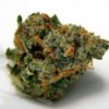 Buy Blue Dream Online