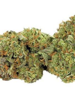 Buy White fire OG Online