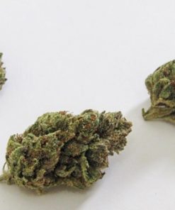 Alley Cat Kush