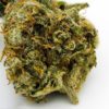 Buy Holy Punch Online